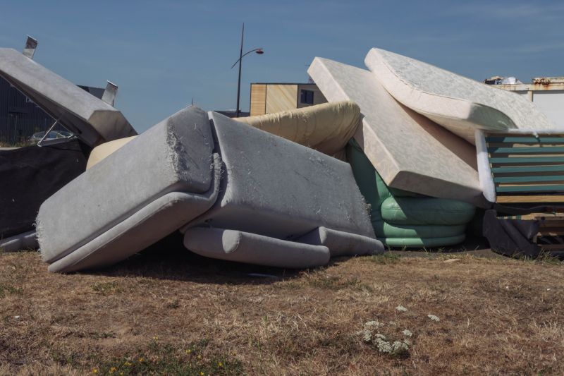 Sofa Bed Removal in Roseville, CA